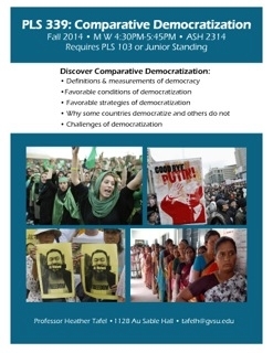 PLS 339 Comparative Democratization